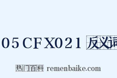 05CFX021反义词是什么意思的图片